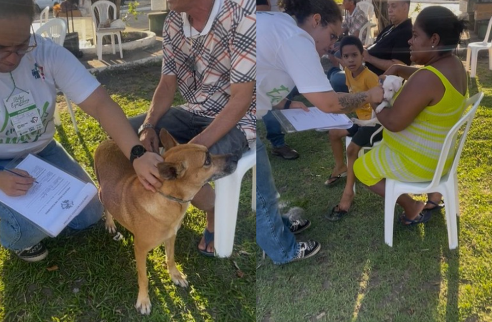 Captura de tela 2025-10-27 092636 / Foto: Foto: Divulgação