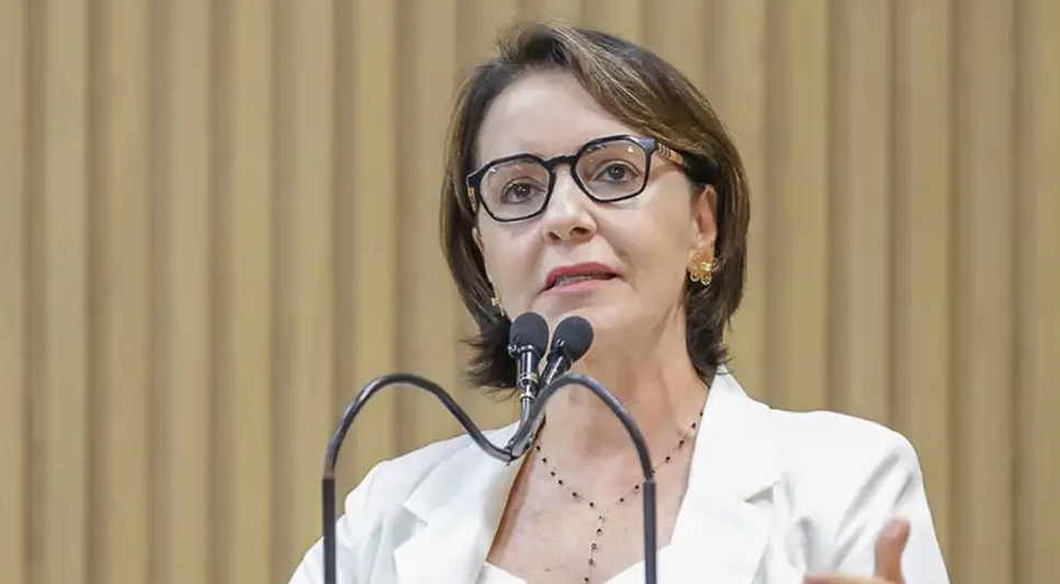 Captura de tela 2025-01-07 082547 / Foto: Foto: Gilton Rosas/Divulgação