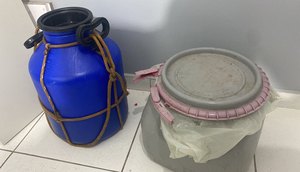 Dois homens suspeitos de furtar 120 litros de mel e causar prejuízo de R$ 25 mil são indiciados em Sergipe