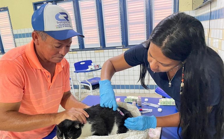Secdef adota manejo cat friendly para vacinação segura e sem estresse de gatos