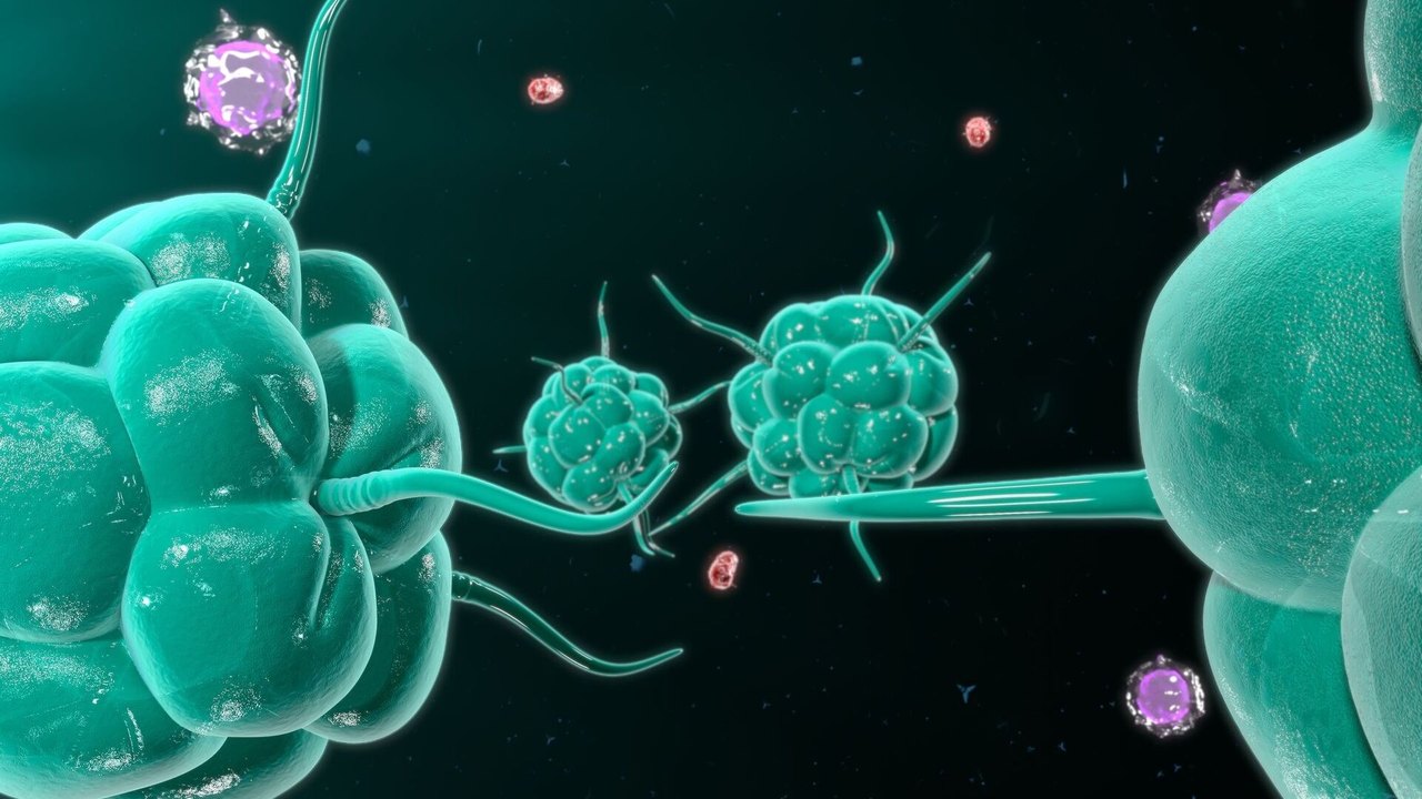 Cientistas russos trabalham em tratamentos inovadores para tumores cerebrais e doença de Parkinson