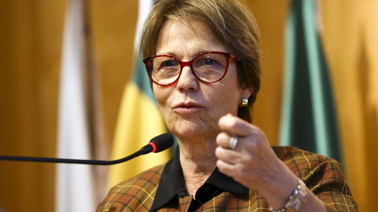 Bolsonaro diz que Tereza Cristina é ‘cotadísima’ para vice, tal como Braga Netto