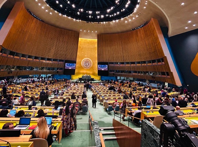 Instituto Nelson Wilians leva à ONU ações voltadas à educação e equidade para populações afrodescendentes