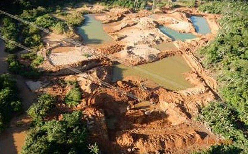 Garimpo ilegal na Amazônia ameaça romper maior linhão de energia do País