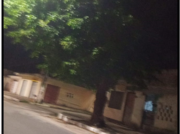 Vereador Aldo Loureiro solicita poda de árvores na Cidade Universitária e no Clima Bom