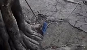 WhatsApp Image 2026-04-09 at 09.49.39