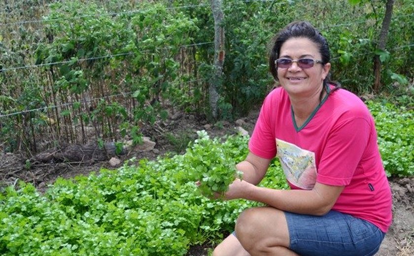 Mulheres sertanejas fortalecem a produção agroecológica da região