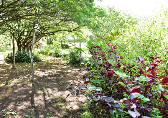 Conjunto Brisa do Lago recebe, neste domingo (5), o projeto Momento pela Paz