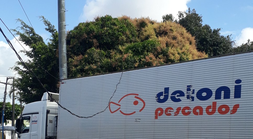 acidente fios eletricos