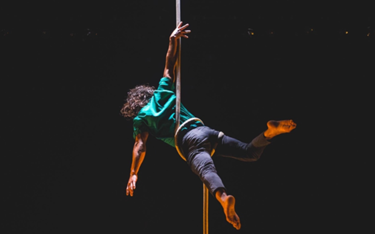 Festival Mundial do Circo reúne atrações nacionais e internacionais online