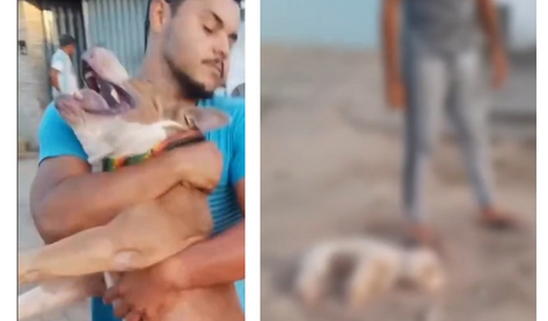 Pitbull sem coleira mata poodle no bairro da Forene, em Maceió
