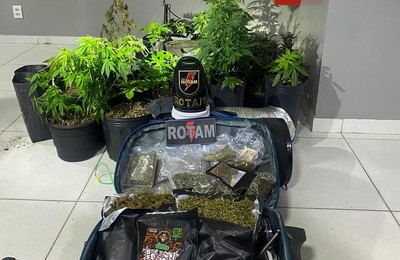 PM desarticula laboratório de drogas e localiza plantio de maconha na Barra Nova