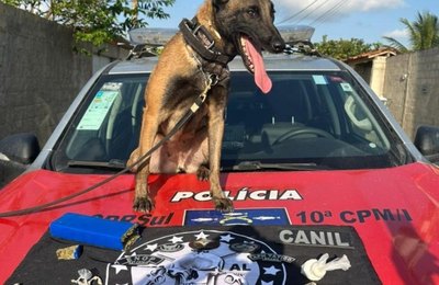Polícia Militar cumpre mandado judicial e efetua prisões por tráfico de drogas no Litoral Sul