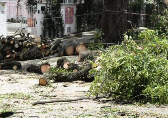 São Paulo: chuva deixa mais de meio milhão de pessoas sem energia elétrica