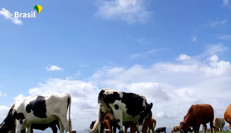 Rússia retoma comércio de carne bovina brasileira