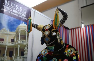 Museu Théo Brandão traz parte de seu acervo para Bienal