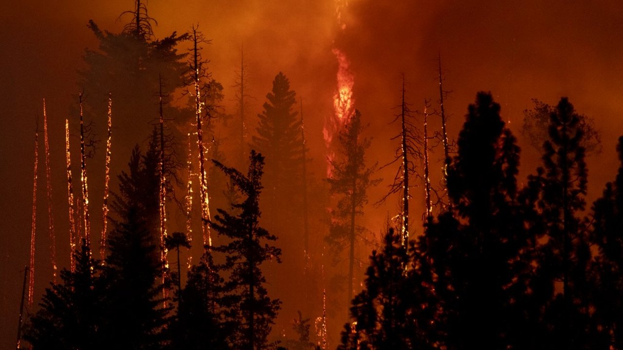 Incêndios florestais e onda de calor: estados do oeste dos EUA estão sob alerta 