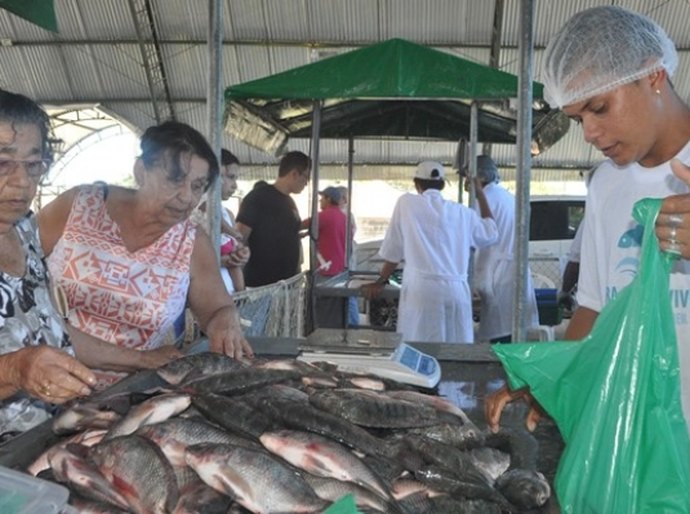 Novo Mercado de Peixe vai atender população de 10 municípios alagoanos