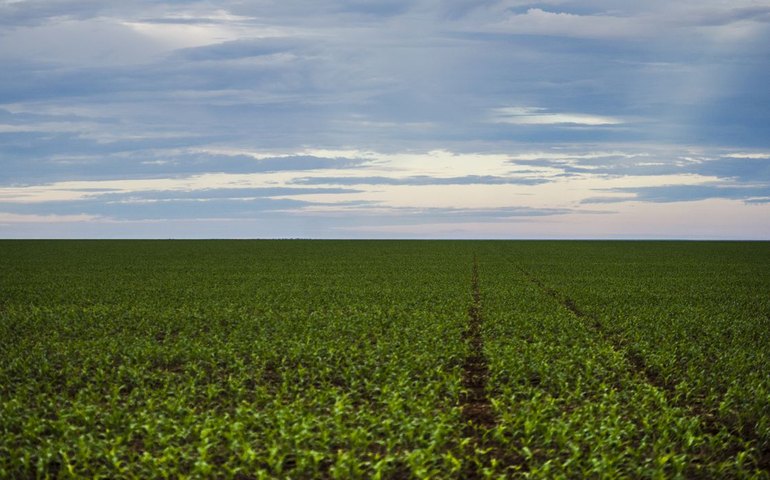 Coalizão de empresas do agronegócio critica PL para mineração em terras indígenas