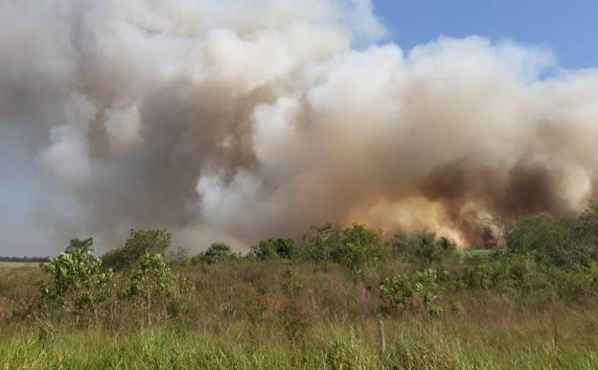 Queimadas já consumiram 1,2 milhão de hectares de vegetação no Pantanal