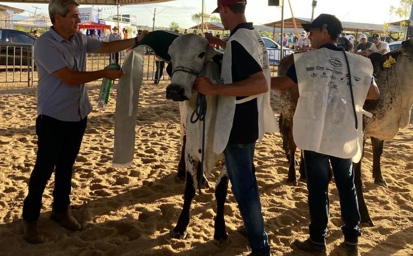 39ª Expo Bacia Leiteira conta com novidades na programação técnica