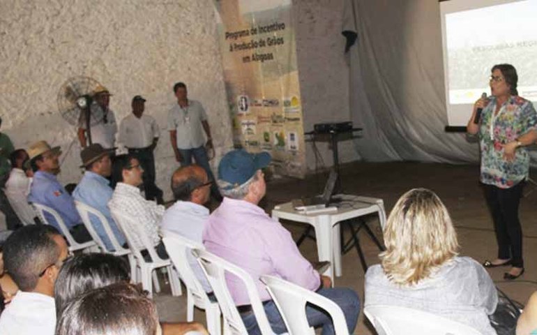 Arapiraca investe na produção de grãos