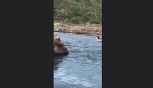 Homem é resgatado por pescador no Rio São Francisco; VÍDEO.jpg