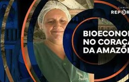 Bioeconomia no coração da Amazônia | Caminhos da Reportagem
