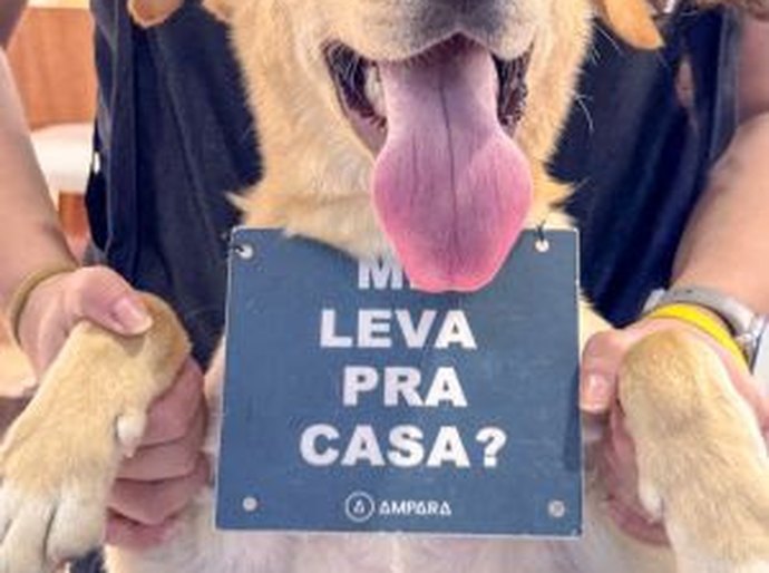 Sam´s Club Maceió promove evento de adoção de pets resgatados em parceria com a ONG Pata Amada
