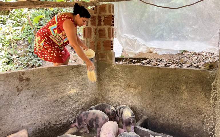 Primeira parcela do programa Fomento Rural é paga a agricultores familiares a partir de terça-feira