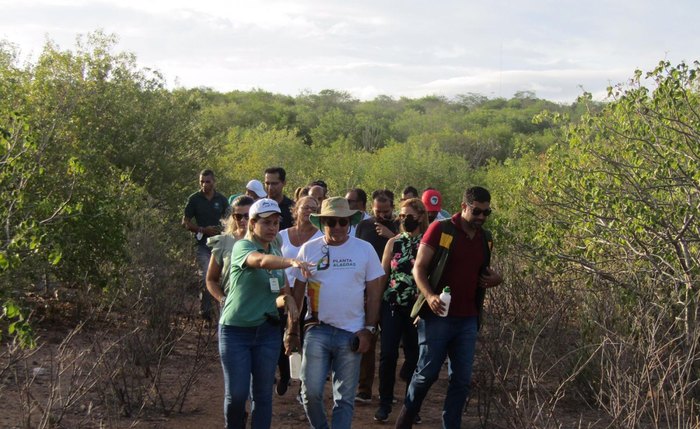 Trilha em Piranhas aproxima os visitantes ao bioma da caatinga Trilha em Piranhas aproxima os visitantes ao bioma da caatinga