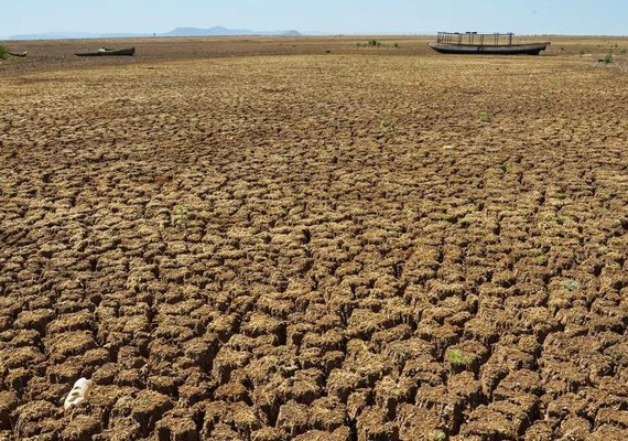 Três regiões do Brasil apresentaram seca intensa em abril, revela agência