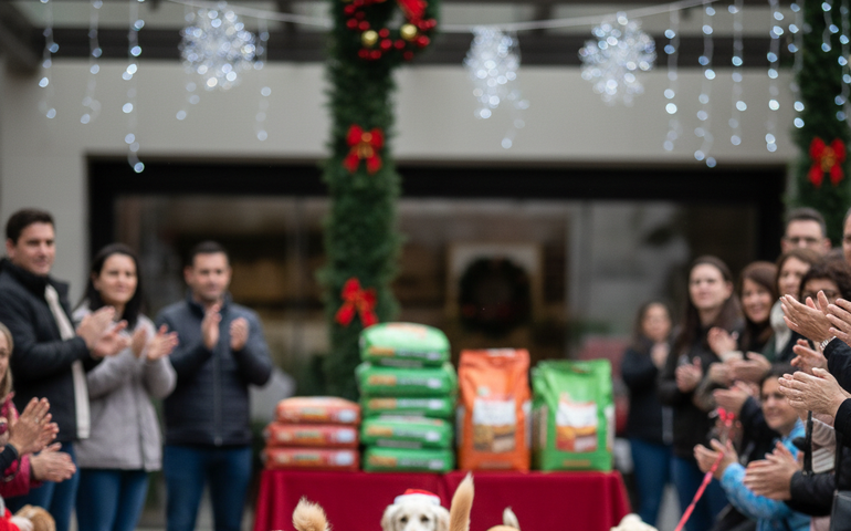 Shopping em Itaipava realiza desfile natalino para cães neste sábado