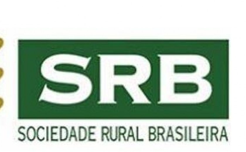 SRB pede urgência na votação da &#8216;MP Verde e Amarelo&#8217; em carta a Alcolumbre