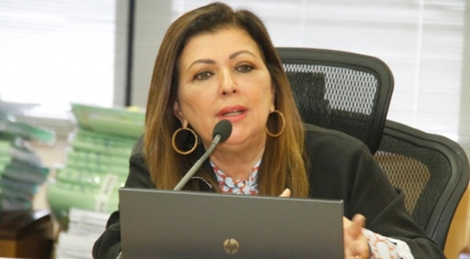 susana conselheira