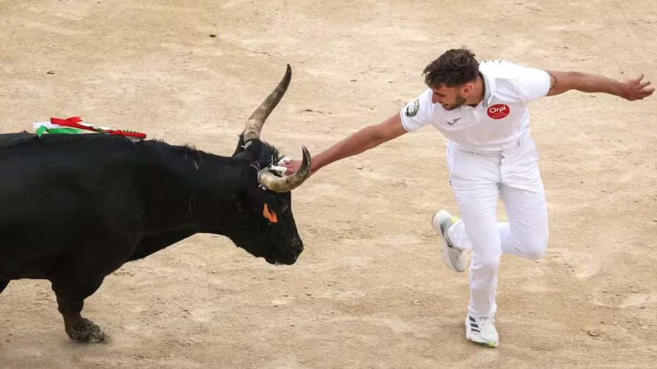 Espanha cancela prêmio nacional de touradas em sinal de mudança cultural