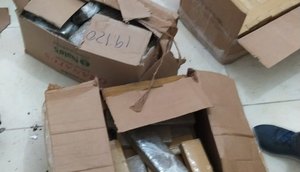 Maconha encontrada pela polícia / Foto: Polícia Civil de Sergipe