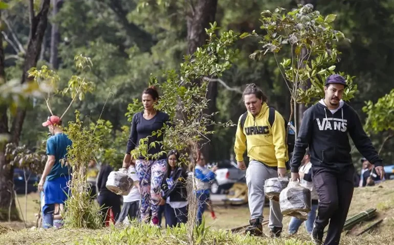 Projeto capacita pesquisadores negros e indígenas com foco na economia verde