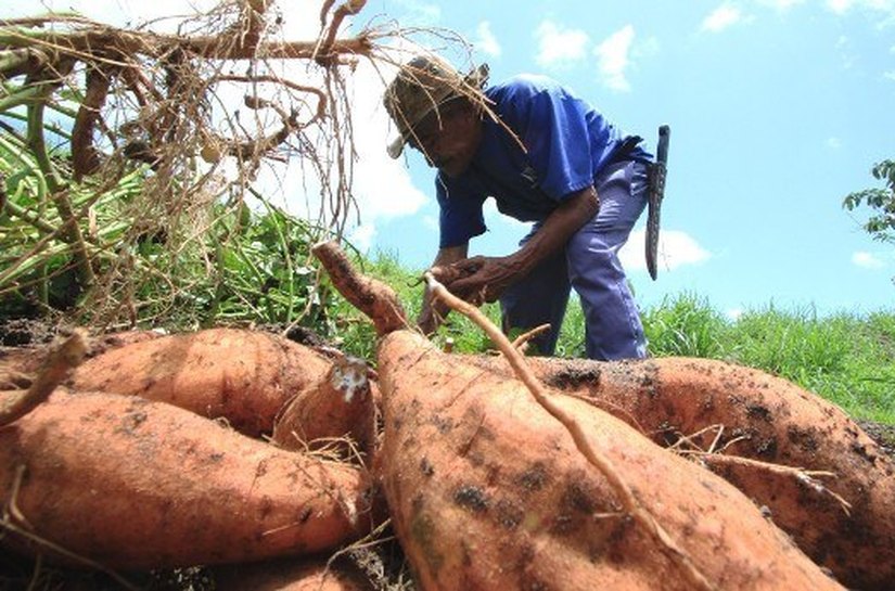 Iteral visita agricultores no interior para orientar sobre a renegociação da dívida