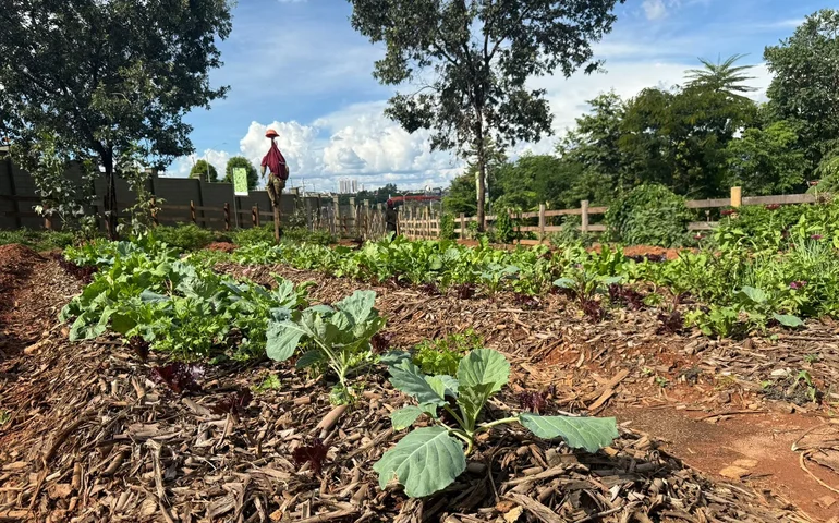 Famílias poderão produzir seus próprios alimentos dentro de condomínio, em Goiás