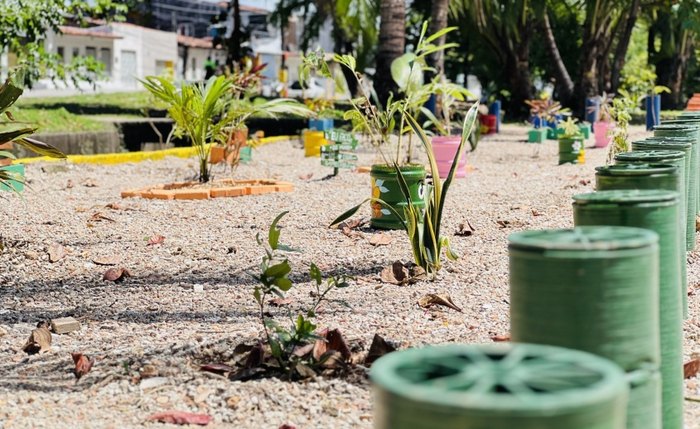 De acordo com a prefeitura de Maceió, em 2025 as equipes de arborização responsáveis pelo serviço plantaram mais de 5 mil exemplares das mais diversas espécies
