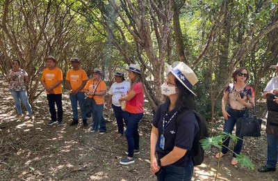 Produtores do Alagoas Maior participam de experiências de turismo rural em Goiás