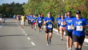 circuito