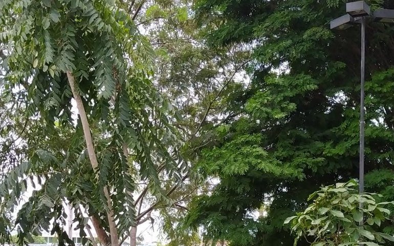 Edital oferece vagas para Projeto Criar Sesc em 2021