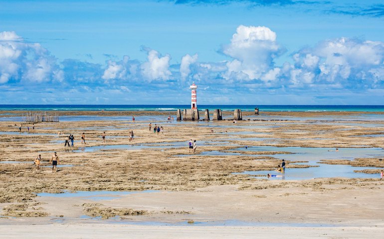 Governo do Brasil na Rua chega a Maceió com oferta de serviços públicos gratuitos à população