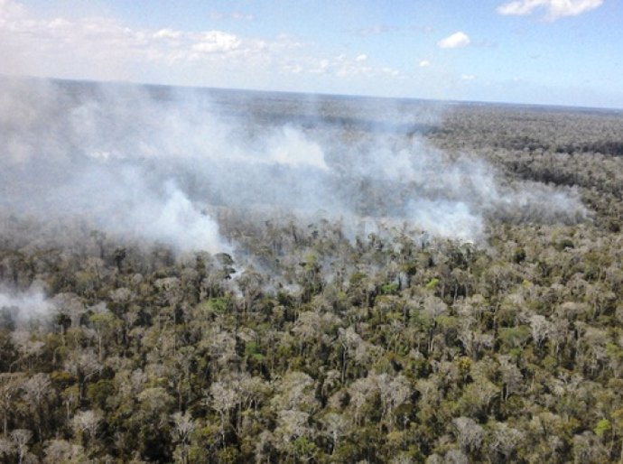 Equipe do IMA vistoria área atingida por incêndio em União dos Palmares