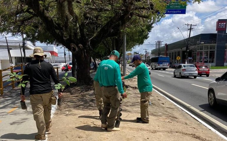 Equipe do projeto Alagoas Mais Verde planta árvores em Maceió
