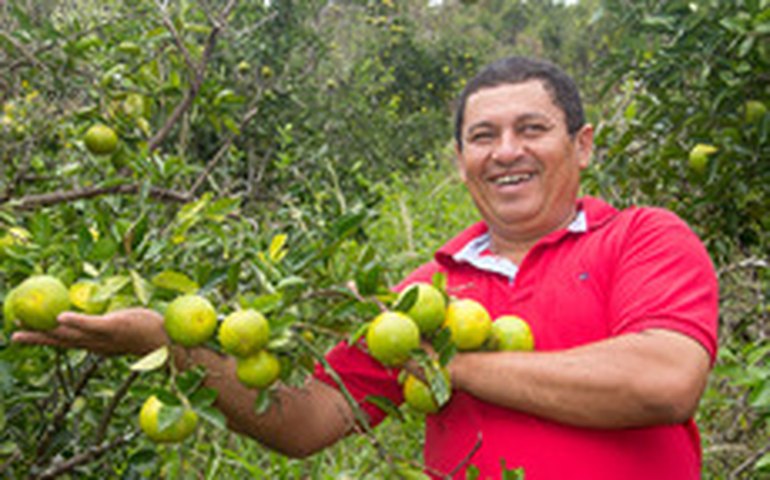 Produtores festejam fortalecimento da Cadeia Produtiva da Laranja Lima
