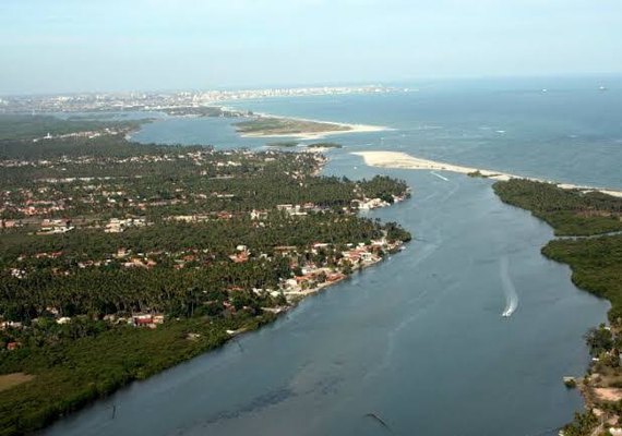 MPF busca solução para a restauração de manguezais afetados pela Braskem