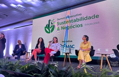 Secretaria do Desenvolvimento participa do Summit Executivo de Negócios e Sustentabilidade